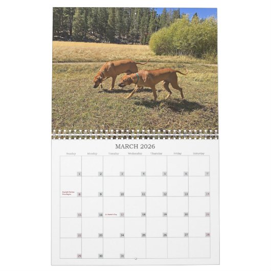 Rhodezische Ridgeback Calendar 2019 Going Places Kalender (Mar 2026)