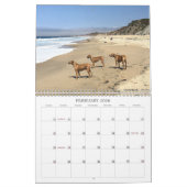 Rhodezische Ridgeback Calendar 2019 Going Places Kalender (Feb 2026)