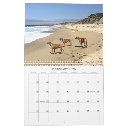 Rhodezische Ridgeback Calendar 2019 Going Places Kalender (Feb 2026)