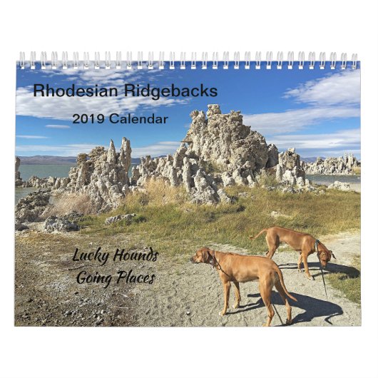 Rhodezische Ridgeback Calendar 2019 Going Places Kalender (Hoes)