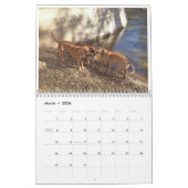 Rhodezische Ridgeback Calendar 2020 Kalender (Mar 2026)