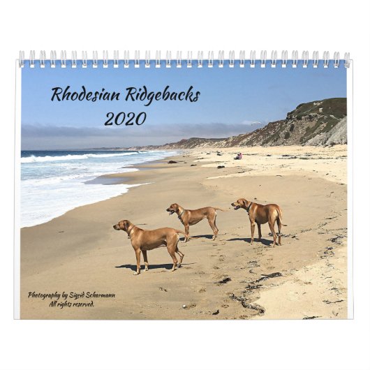 Rhodezische Ridgeback Calendar 2020 Kalender (Hoes)