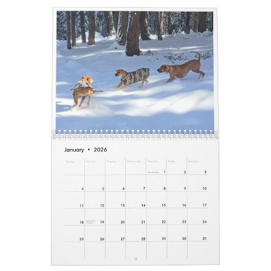 Rhodezische Ridgeback Calendar 2020 Kalender (Jan 2026)
