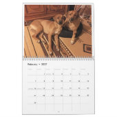 Rhodezische Ridgeback Calendar 2020 Kalender (Feb 2027)