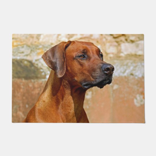 Rhodezische ridgeback deurmat (Voorkant)