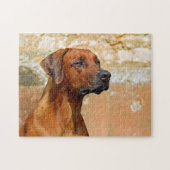 Rhodezische Ridgeback Dog Gazing Eyes Legpuzzel (Horizontaal)