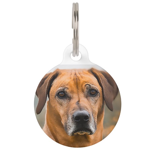 Rhodezische Ridgeback Dog Huisdierpenning (Voorkant)