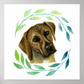 Rhodezische Ridgeback Dog met een Grote Waterverf Poster (Voorkant)