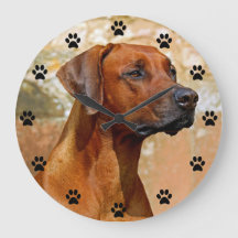 Rhodezische Ridgeback Dog Paw Afdruktijd