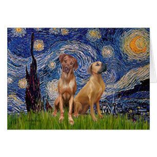 Rhodezische Ridgeback Pair - Sterrennacht