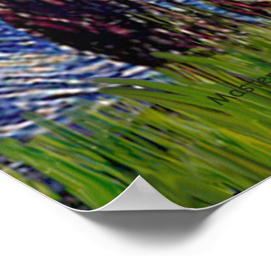 Rhodezische Ridgeback Pair - Sterrennacht Poster (Hoek)