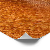 Rhodezische ridgeback poster (Hoek)