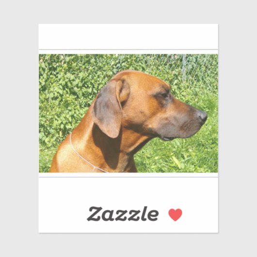 rhodezische ridgeback tweede sticker (Vel)