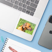 rhodezische ridgeback tweede sticker (Laptop met iPhone)