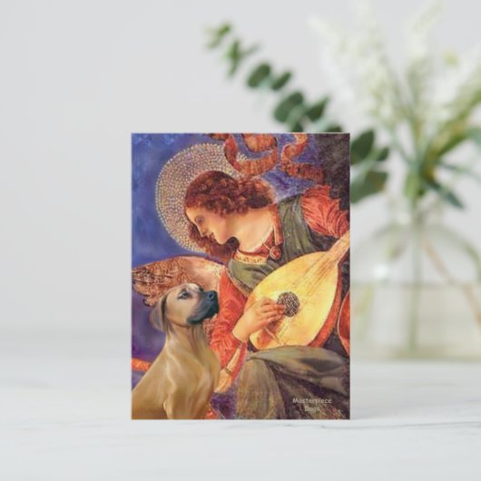 Rhodezische ringweg 2 - Mandolin Angel Briefkaart (Staand voorkant)