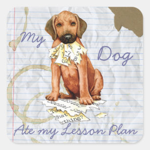 Rhodezische rugzak Ate Lesson Plan Square Sticker