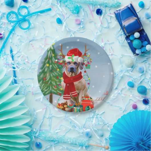 Rhodezische rugzak met sneeuwkerstcadeau papieren bordje (Feest)