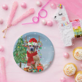 Rhodezische rugzak met sneeuwkerstcadeau papieren bordje (Feest)