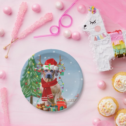 Rhodezische rugzak met sneeuwkerstcadeau papieren bordje (Feest)