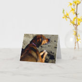 Rhodie in oliën kaart (Gele Bloem)