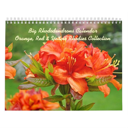 Rhodies Caleandars Rhododendrons Rood Oranje Geel Kalender (Hoes)