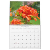 Rhodies Caleandars Rhododendrons Rood Oranje Geel Kalender (Jan 2026)