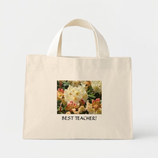 RHODIES TAS Best Leraar Kerstcadeau (Voorkant)