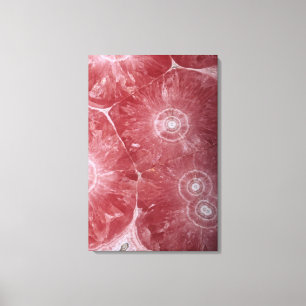 Rhodochrosite (MnCO3), een erts uit mangaan, argen Canvas Afdruk