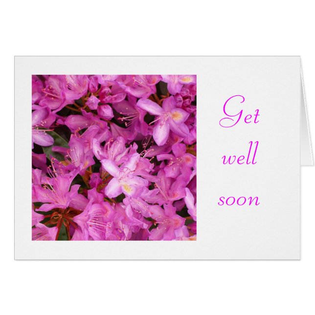 rhododendron (Voorkant Horizontaal)