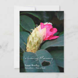 Rhododendron 2 Celebration of Life Invitation Kaart