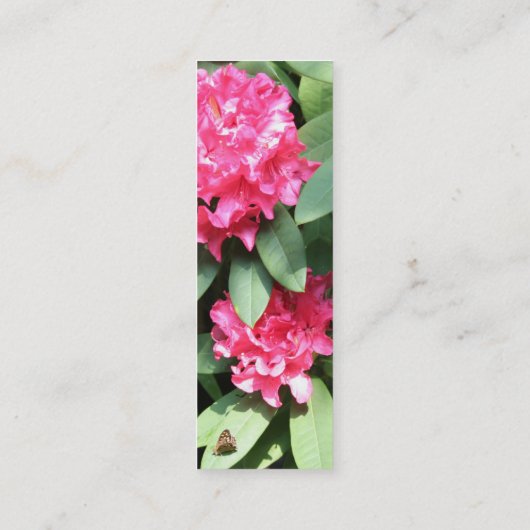 Rhododendron 2 mini visitekaartje (Achterkant)