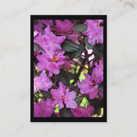 Rhododendron ATC Visitekaartje (Voorkant)