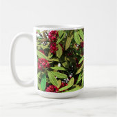 Rhododendron Bloei Koffiemok (Links)