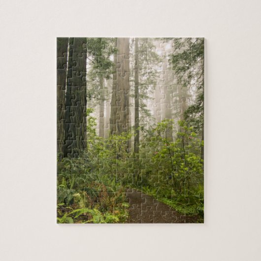 Rhododendron bloeiend tussen de Coast Redwoods / Legpuzzel (Verticaal)