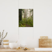Rhododendron bloeiend tussen de Coast Redwoods / Poster (Keuken)