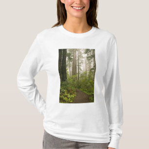 Rhododendron bloeiend tussen de Coast Redwoods / T-shirt