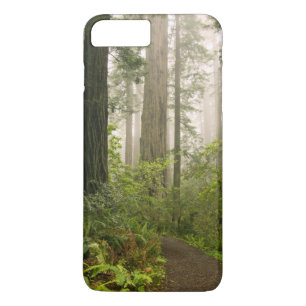 Rhododendron bloeiend tussen de kustredwoods / 	iPhone 8/7 plus hoesje
