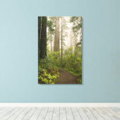 Rhododendron bloeit tussen de Coast Redwoods / Canvas Afdruk (Insitu (Houten vloer))