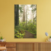Rhododendron bloeit tussen de Coast Redwoods / Canvas Afdruk (Insitu (Woonkamer))