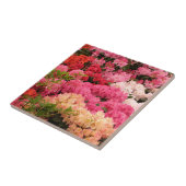 Rhododendron bloemen tegeltje (Zijkant)