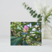Rhododendron Bloemknop Briefkaart (Staand voorkant)