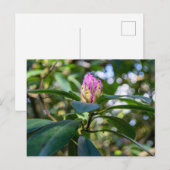 Rhododendron Bloemknop Briefkaart (Voorkant / Achterkant)