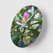 Rhododendron Bloemknop Ronde Klok (Hoek)
