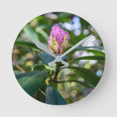 Rhododendron Bloemknop Ronde Klok (Voorkant)