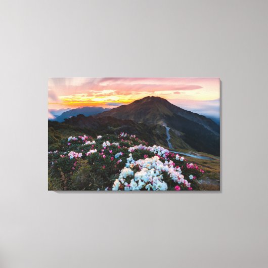 Rhododendron Blooming | Nationaal park Taroko Canvas Afdruk (Voorkant)