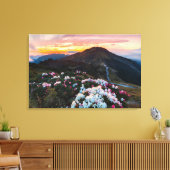 Rhododendron Blooming | Nationaal park Taroko Canvas Afdruk (Insitu (Woonkamer))