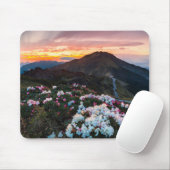 Rhododendron Blooming | Nationaal park Taroko Muismat (Met muis)