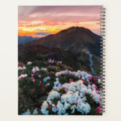 Rhododendron Blooming | Nationaal park Taroko Planner (Achterkant)