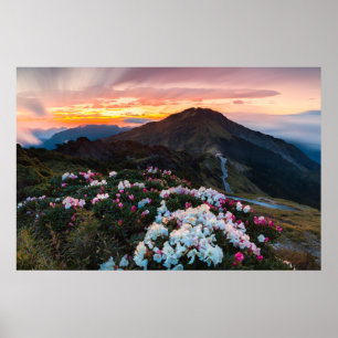 Rhododendron Blooming   Nationaal park Taroko Poster