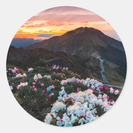 Rhododendron Blooming | Nationaal park Taroko Ronde Sticker (Voorkant)